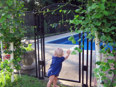 Visi Guard self-latching, self-closing pool gate Visi Guard self-latching, self-closing pool gate