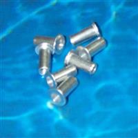 Sentry Safety Rivet Nuts (Made from Anti-Rust Aluminum)