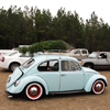 VW Bug Tree on Rack